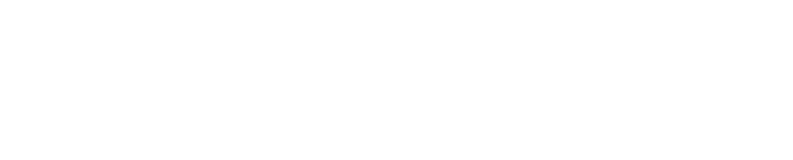 Life Custodia