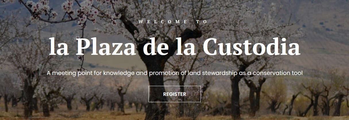 portada plaza custodia web