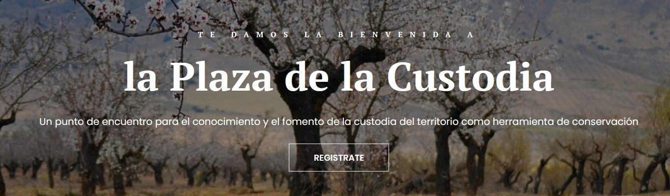 Pantallazo web plaza de la custodia